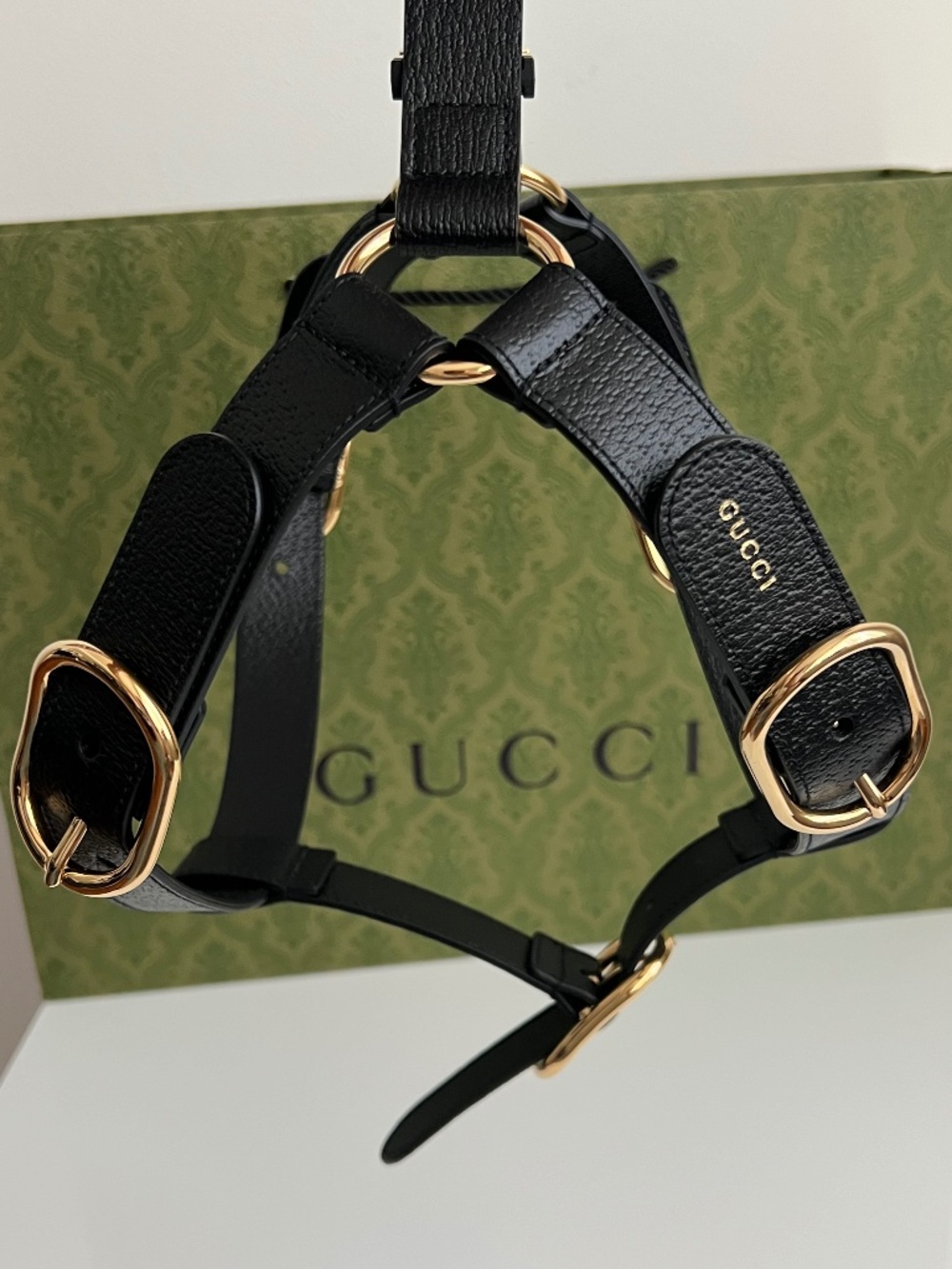 Gucci Leash & Harness Pet Dog Size XL Black Leather Gold Interlocking New Boxes